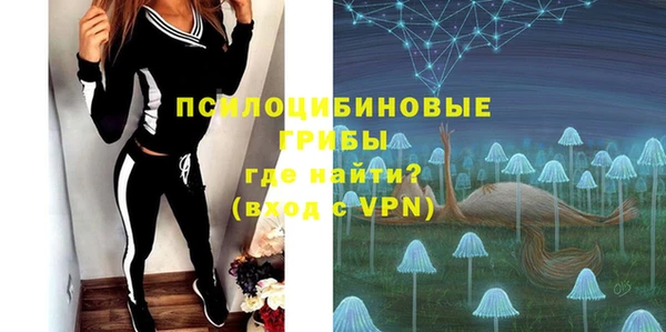 винт Алзамай
