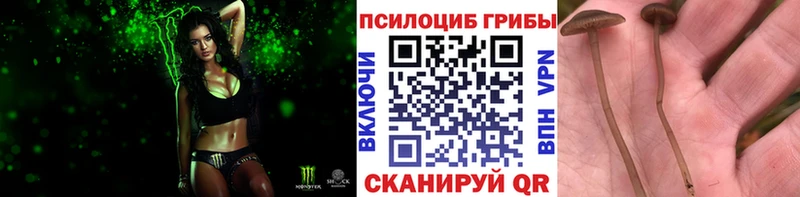 даркнет сайт  Новоузенск  Галлюциногенные грибы ЛСД 