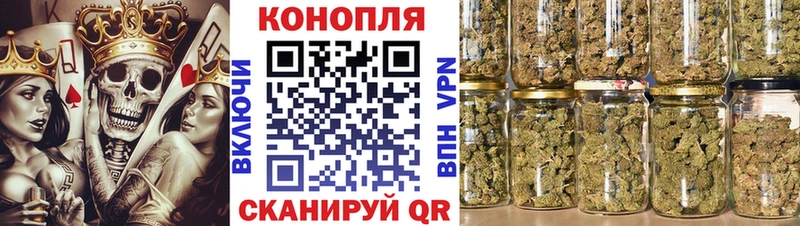 купить наркотик  блэк спрут рабочий сайт  МАРИХУАНА White Widow  Новоузенск 